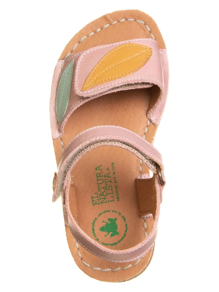 El Naturalista Leder-Sandalen "Ibiza" In Rosa 4 El Naturalista Leder-Sandalen "Ibiza" In Rosa – Bild 4